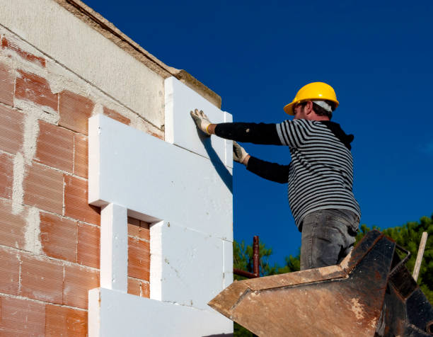 Best Home Insulation Services  in Menomonee Falls, WI