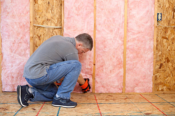 Best Attic Insulation Installation  in Menomonee Falls, WI